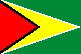 [Country Flag of Guyana]