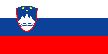 Country Flag of Slovenia